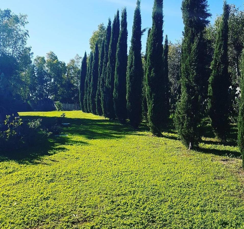 Il Piccolo Borgo Apartment มอนตัลโต ดิ กัสโตร ภายนอก รูปภาพ