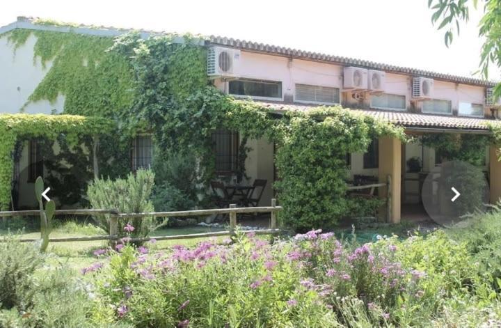 Il Piccolo Borgo Apartment มอนตัลโต ดิ กัสโตร ภายนอก รูปภาพ